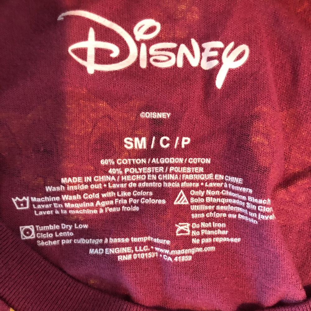 Disney Lion King crop top
